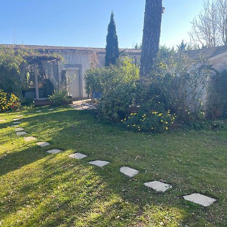 Chambre Seville - Mas Saint-Louis - Piscine Chauffee Aigues-Mortes Eksteriør billede