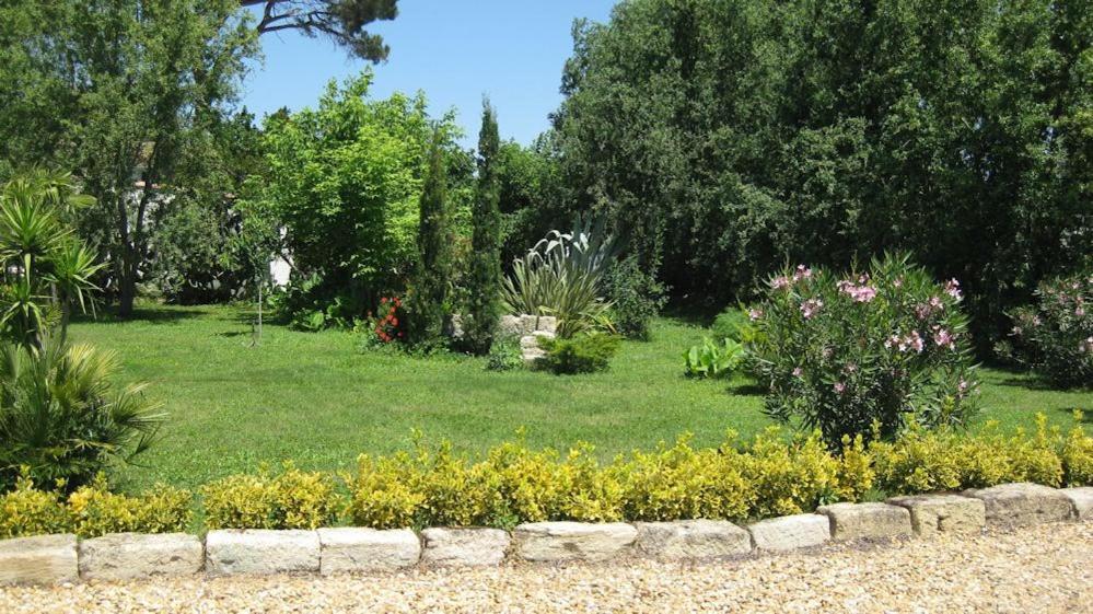 Chambre Seville - Mas Saint-Louis - Piscine Chauffee Aigues-Mortes Eksteriør billede